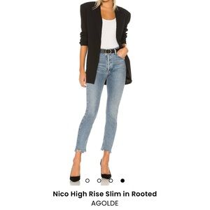 AGOLDE Nico High Rise button fly raw hem Slim jeans size 25